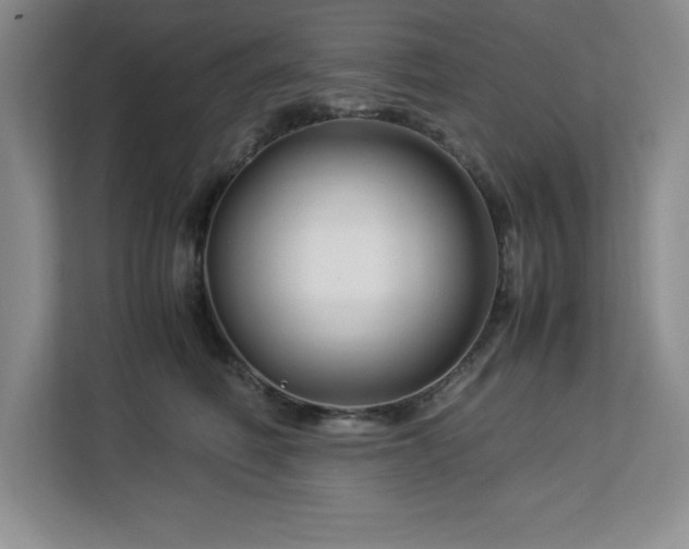 X0000113090614200908281245
