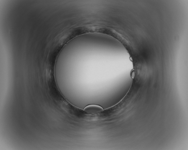 X0000113090615200908281245