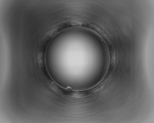 X0000113090616200908281245