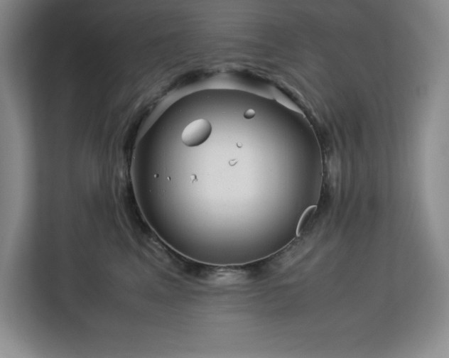 X0000113090617200908281245