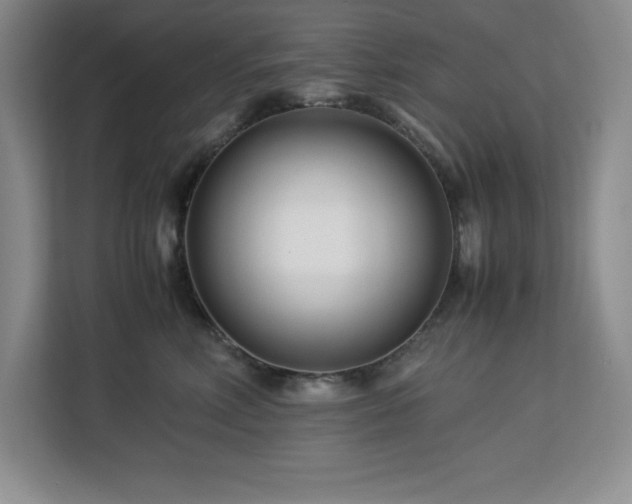 X0000113090618200908281245