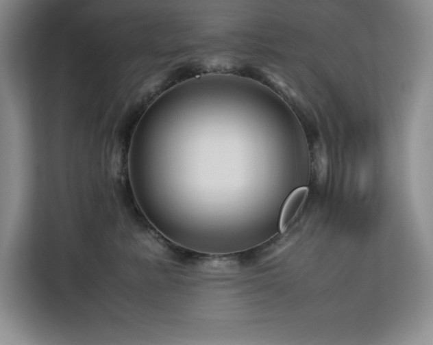 X0000113090619200908281244