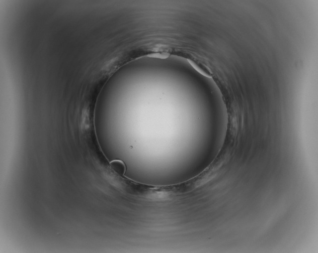X0000113090620200908281244