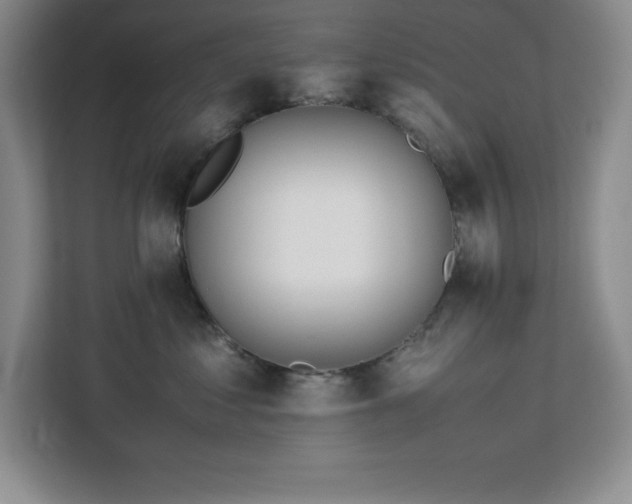 X0000113090621200908281244