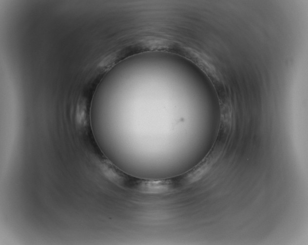 X0000113090622200908281244