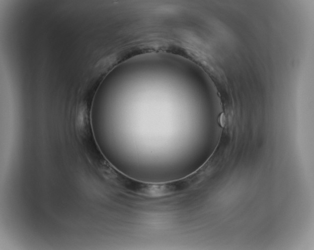 X0000113090623200908281244
