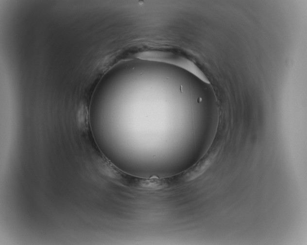 X0000113090624200908281244