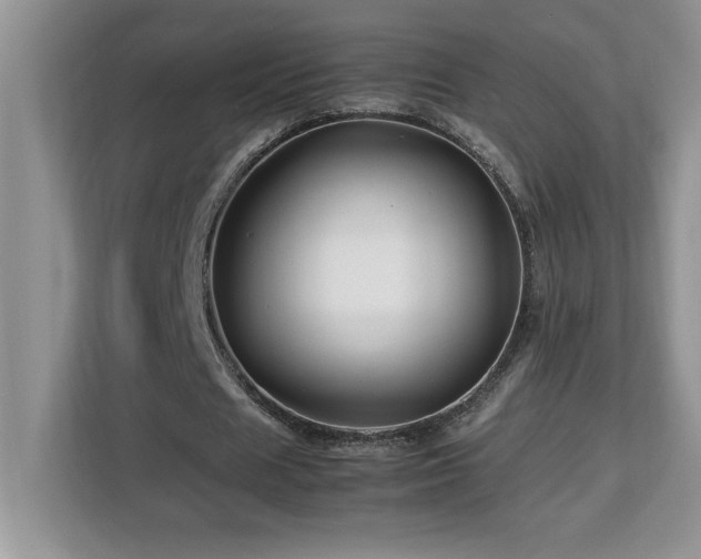 X0000113090625200908281244