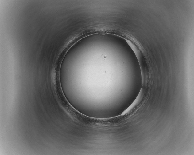 X0000113090626200908281244