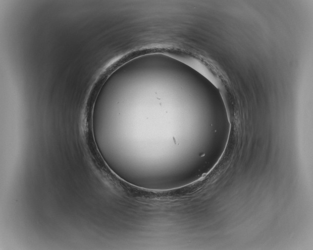 X0000113090628200908281244