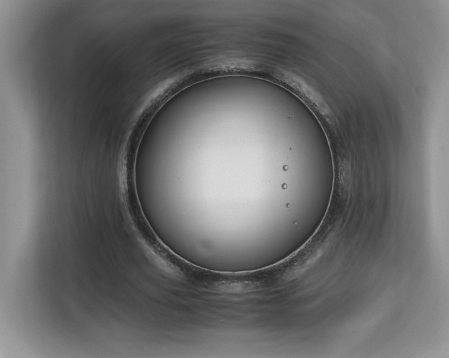 X0000113090629200908281244