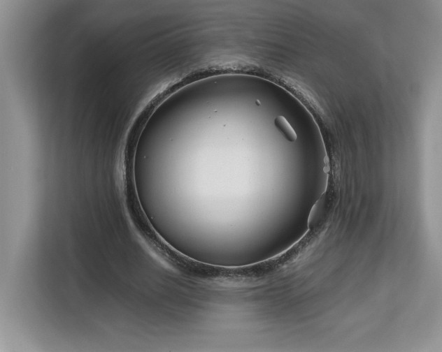 X0000113090630200908281244