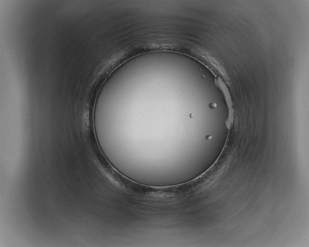 X0000113090633200908281244
