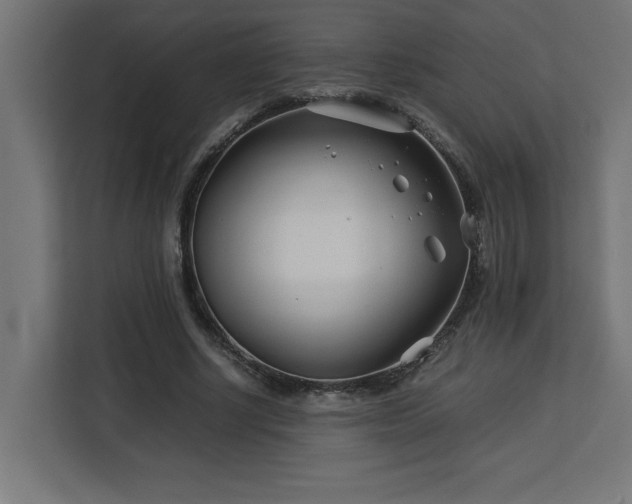 X0000113090634200908281244