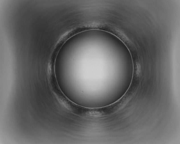 X0000113090636200908281244