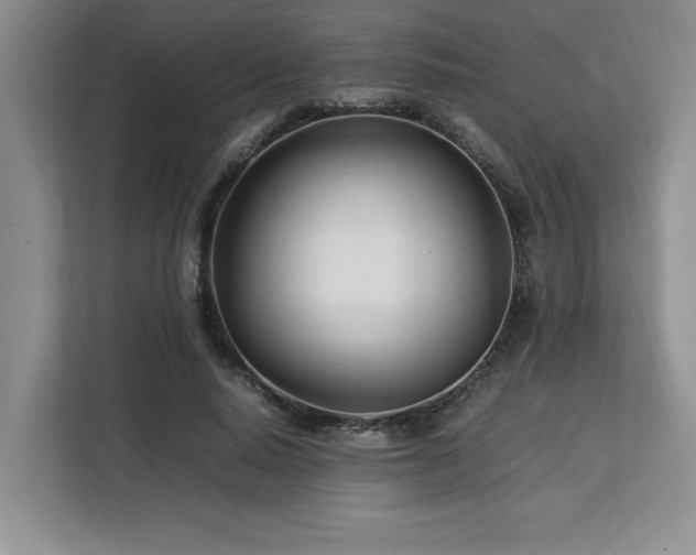 X0000113090640200908281244