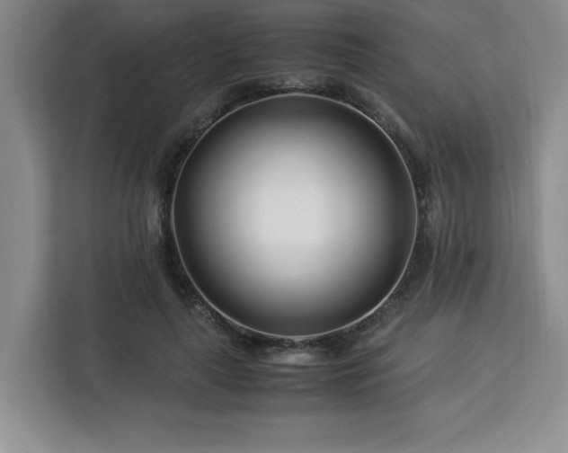 X0000113090643200908281244