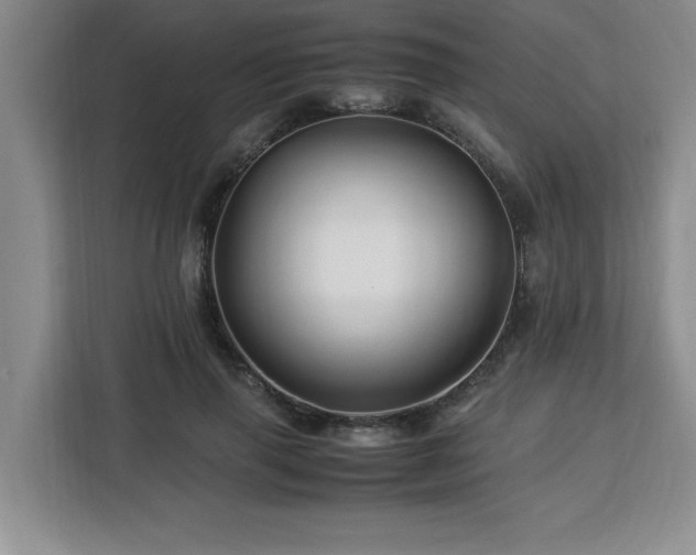 X0000113090645200908281244
