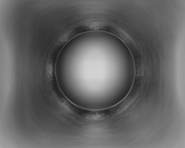 X0000113090646200908281244