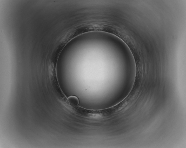 X0000113090649200908281244