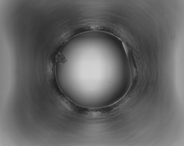 X0000113090650200908281244