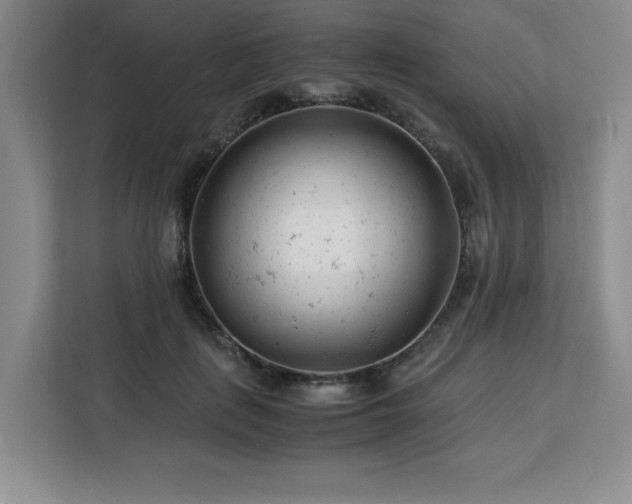 X0000113090651200908281244
