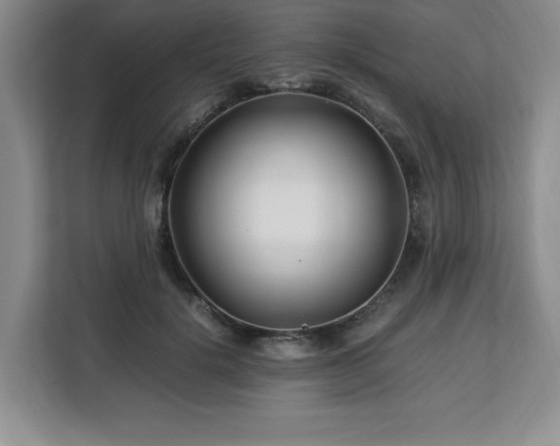 X0000113090652200908281244
