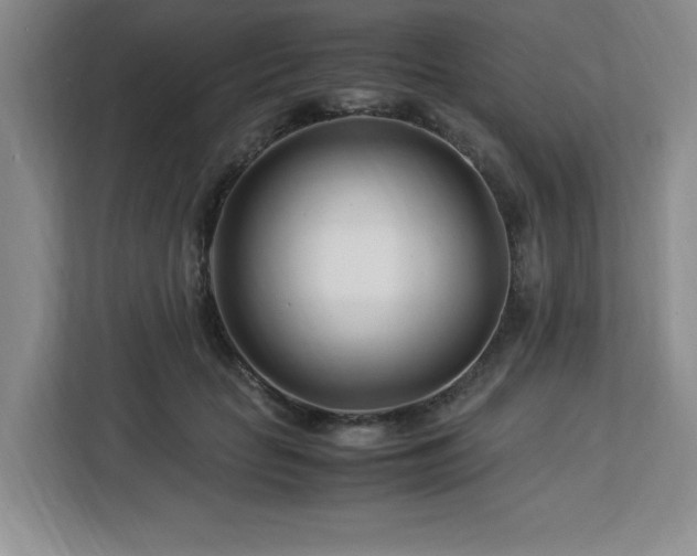 X0000113090653200908281244