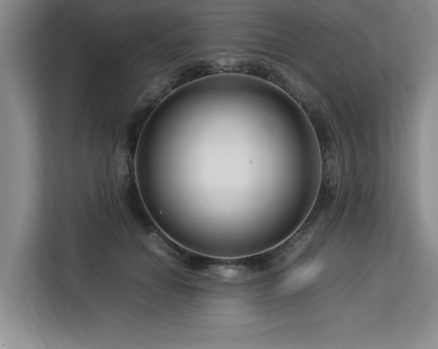 X0000113090654200908281244