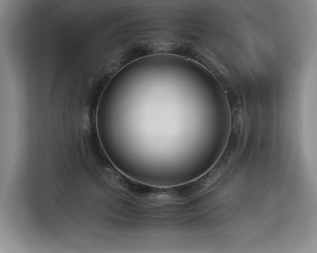 X0000113090655200908281244