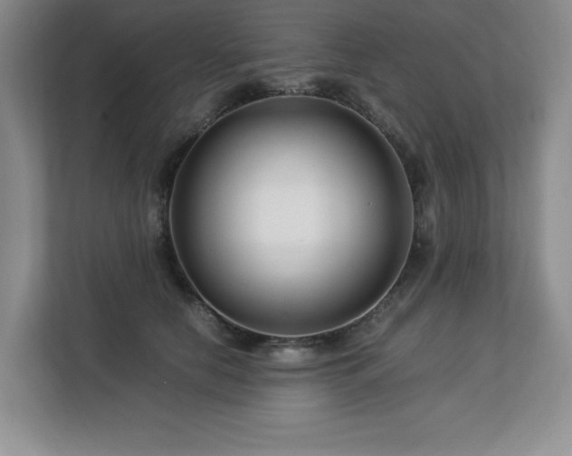 X0000113090658200908281244