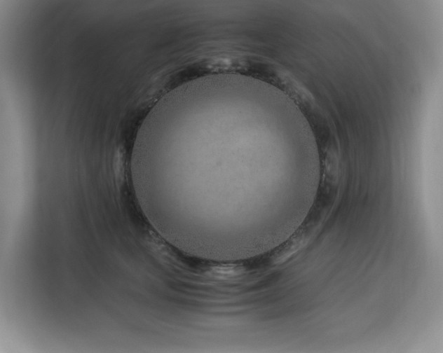 X0000113090659200908281244