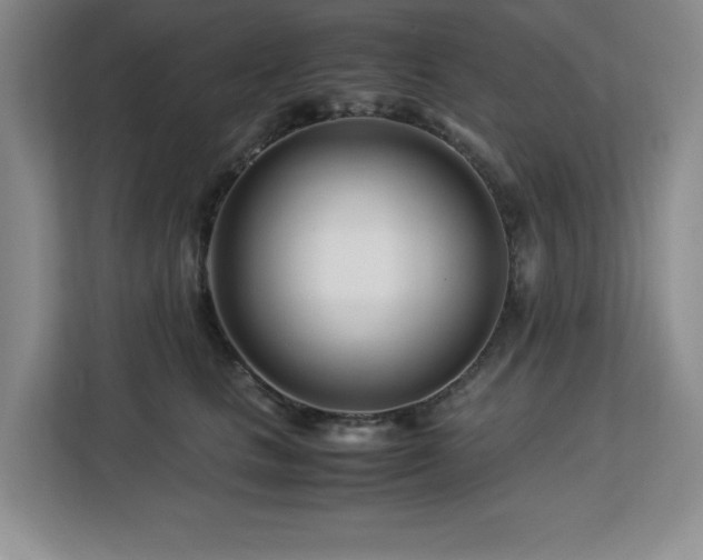 X0000113090661200908281244