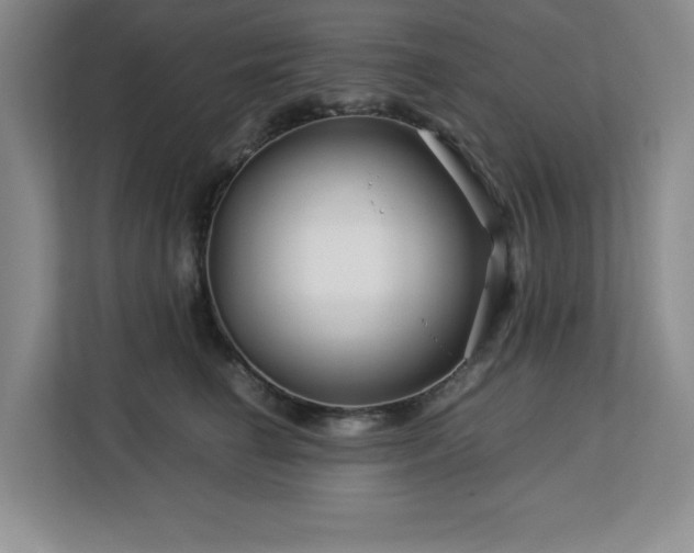 X0000113090662200908281244