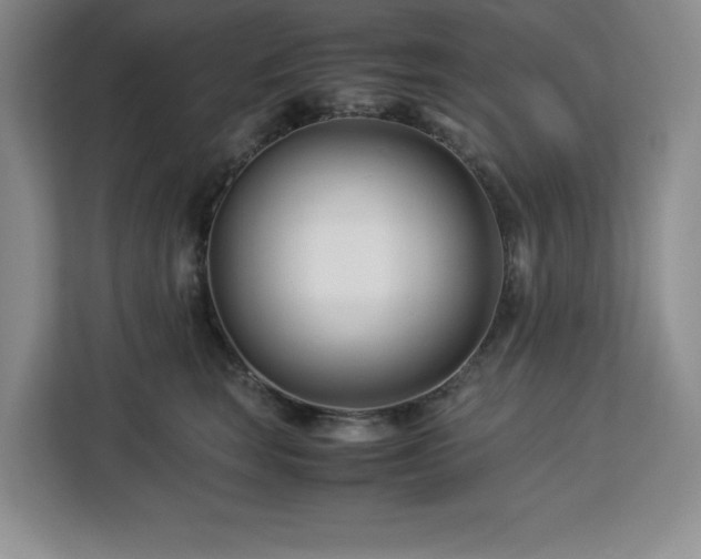 X0000113090663200908281244
