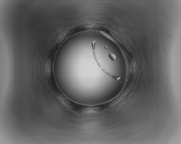X0000113090664200908281244
