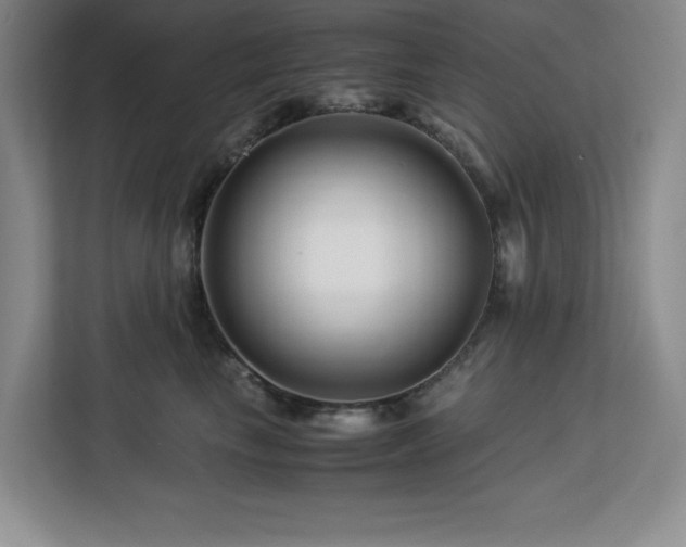 X0000113090665200908281244