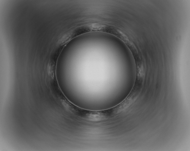 X0000113090666200908281244