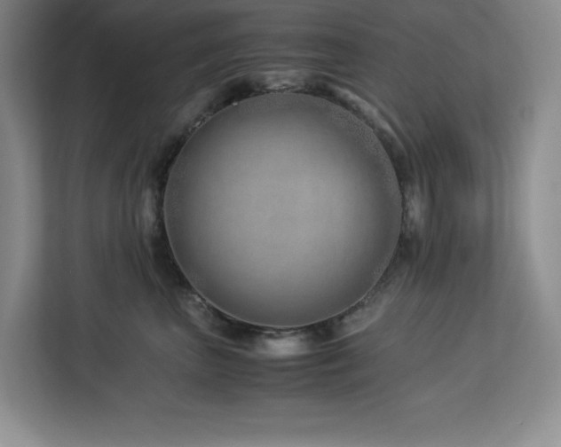 X0000113090667200908281244