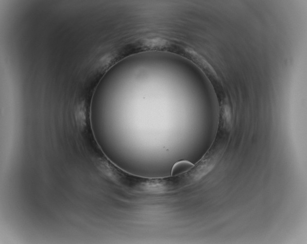 X0000113090668200908281244