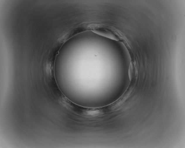 X0000113090669200908281244