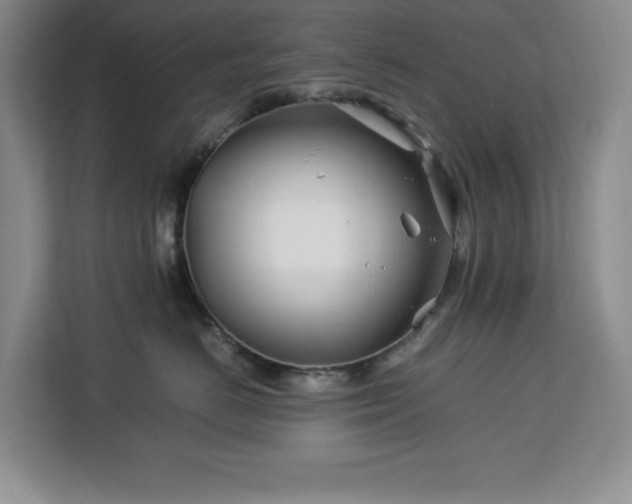 X0000113090670200908281244