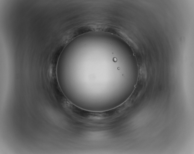 X0000113090671200908281244