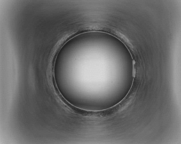 X0000113090673200908281244