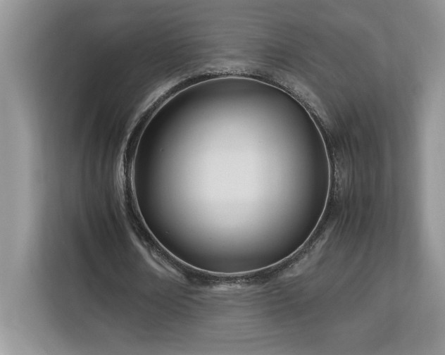 X0000113090674200908281244