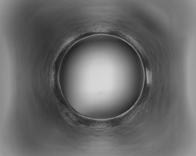 X0000113090675200908281244