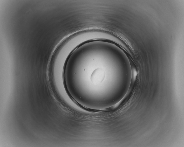 X0000113090676200908281244