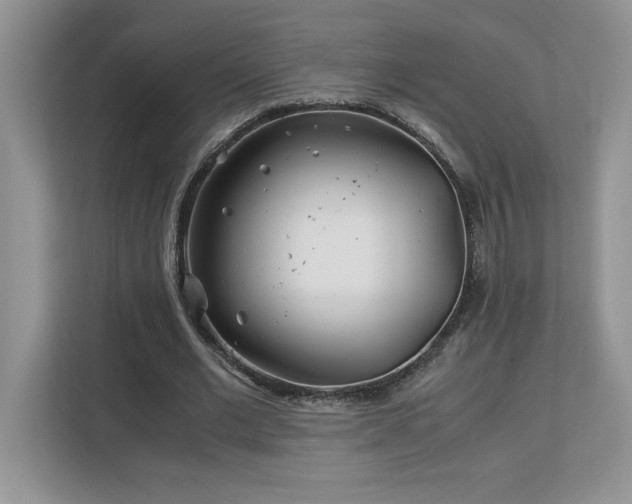 X0000113090677200908281244
