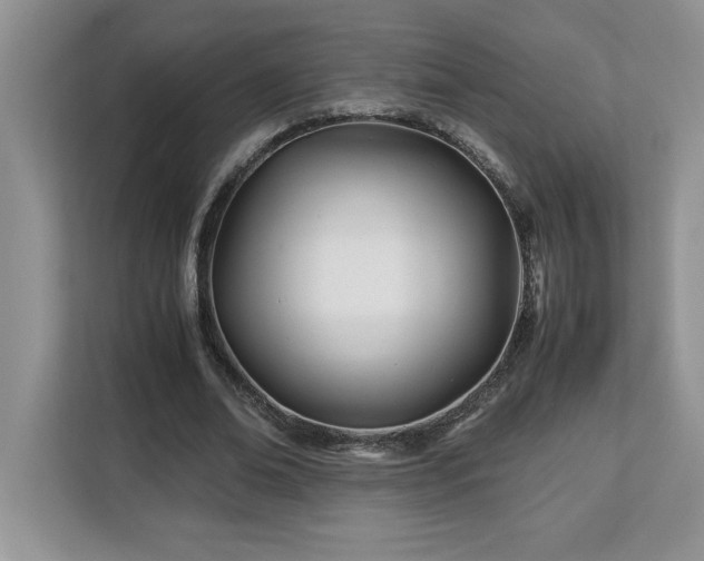X0000113090678200908281244