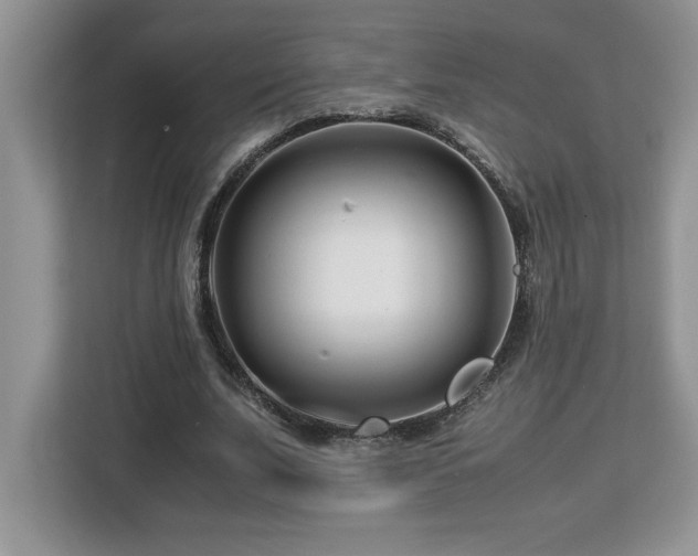 X0000113090679200908281244